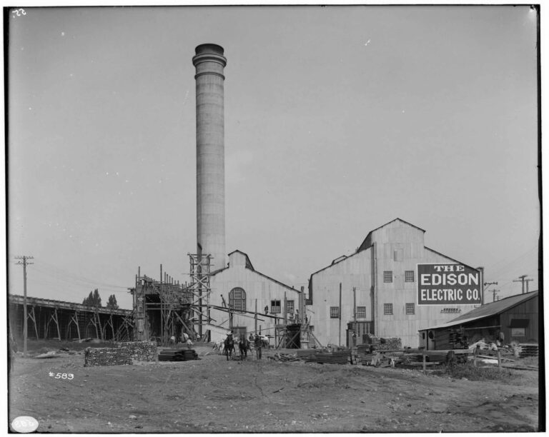 rear view with donkeys undated