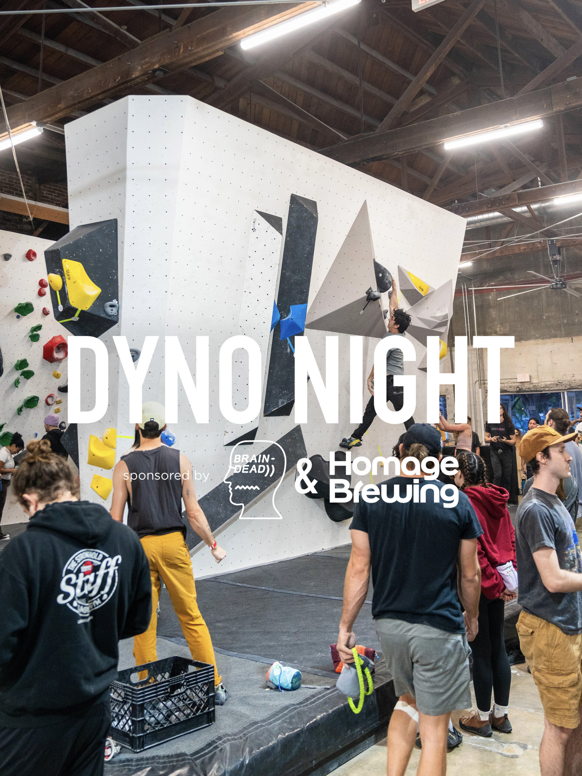 dynonight